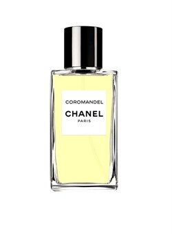 Chanel Coromandel - фото 41896