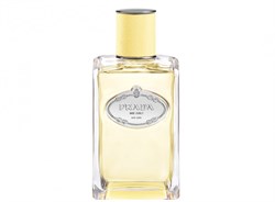 Prada Infusion de Mimosa 01154053318 - фото 42749