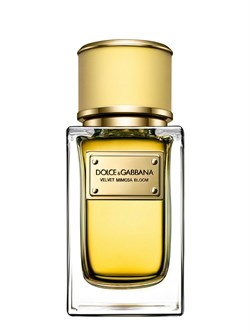 Dolce & Gabbana Velvet Mimosa Bloom 0828322884 - фото 43615