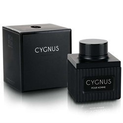 Flavia - Cygnus Pour Homme, 100 ml 02038250620 - фото 54442