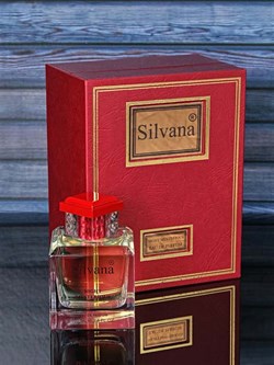 U-10 Silvana Night Mysterious 100 ml + 30 ml tester 0717136404 - фото 57774