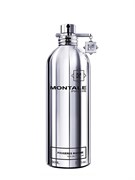 Montale Fougeres Marines 1763814395