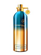 Montale Aoud Lagoon 01347546526