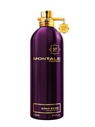 Montale Aoud Ever 01848942504