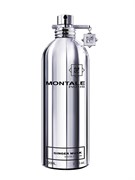 Montale Ginger Musk 0719450427