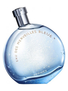 Hermes Eau Des Merveilles Bleue 473246001