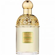 Guerlain Aqua Allegoria Herba Fresca 01831044578