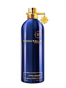 Montale Aoud Ambre 901268403