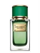 Dolce & Gabbana Velvet Cypress 1539536791