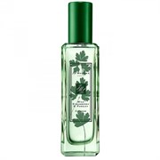 Jo Malone The Herb Garden Wild Strawberry and Parsley 01670199443