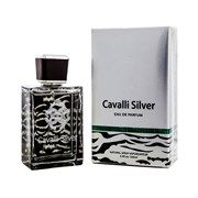 Fragrance World - Cavalli Silver, 100 ml 728572423