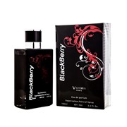 Fragrance World - Black Berry Victoria Pour Homme, 100 ml 606041169